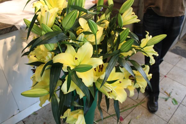 Lily Varieties - A Preview of New 2012 Lilies
Garden Design
Calimesa, CA