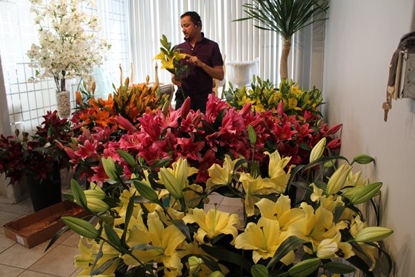 Lily Varieties - A Preview of New 2012 Lilies
Garden Design
Calimesa, CA