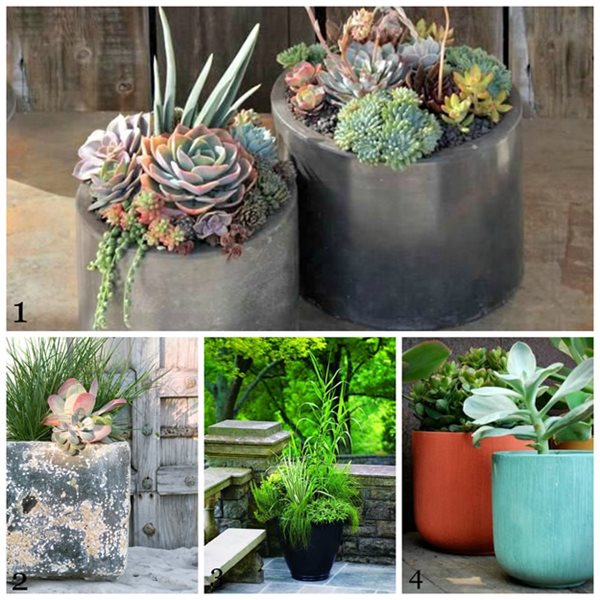 our top 10 favorite pinterest boards garden design calimesa ca