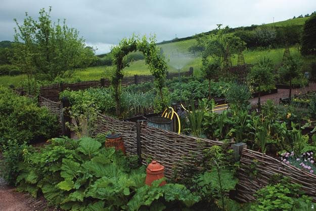 Ideas for Starting a Kitchen Garden  Garden Design