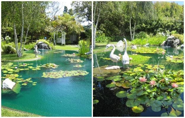 Fish And Flora Pond
"Dream Team's" Portland Garden
Garden Design
Calimesa, CA