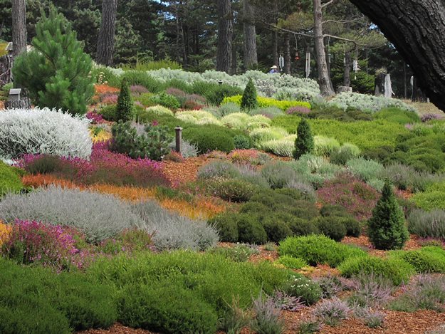 Garden Design
Calimesa, CA