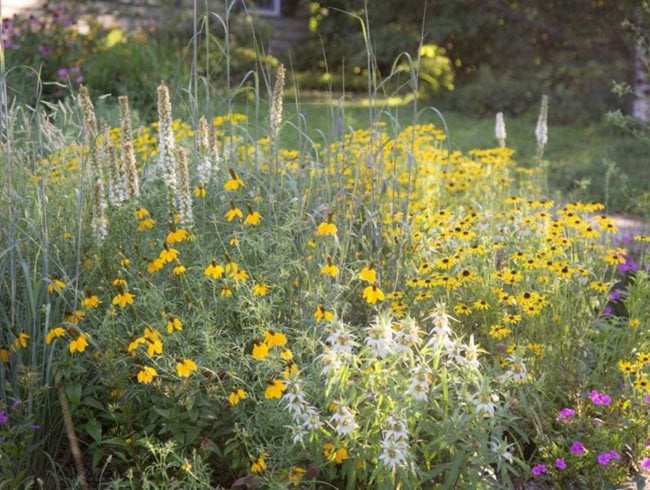 Landscaped Prairie, Perennial Garden
Garden Design
Calimesa, CA