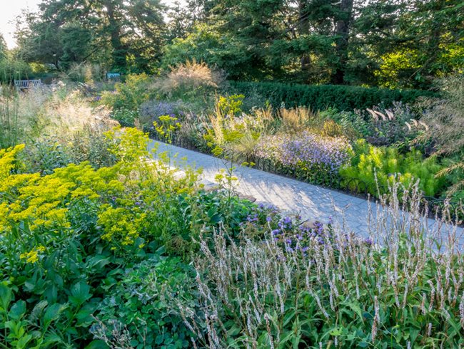New York Botanical Garden Seasonal Walk, Piet Oudolf, Meadow Path
Garden Design
Calimesa, CA