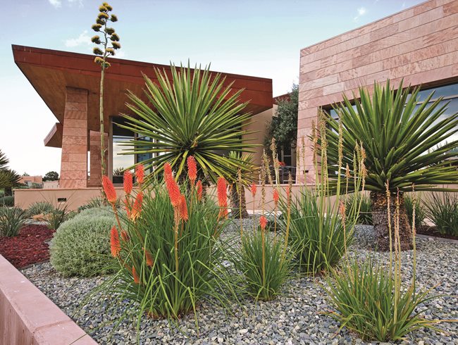 Modern Gardens in NW, CA and BC | Garden Design