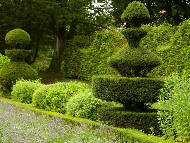 Topiary: Shape Shifters | Garden Design
