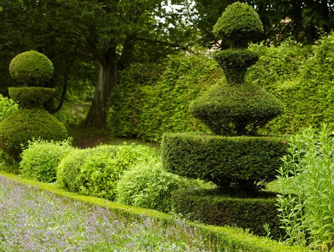 Topiary
Garden Design
Calimesa, CA