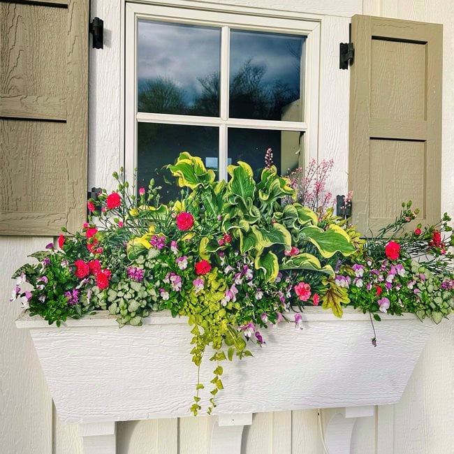 Windowbox With Flowers 
"Dream Team's" Portland Garden
Garden Design
Calimesa, CA