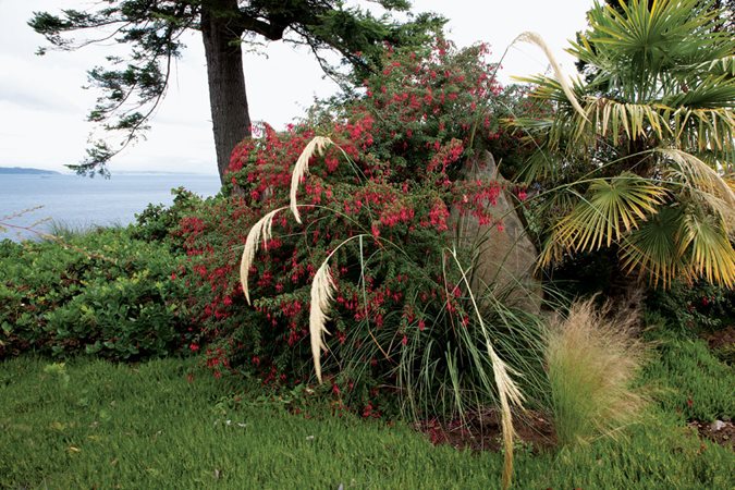 The Plant Hunter's Retreat, Photo Gallery
Garden Design
Calimesa, CA