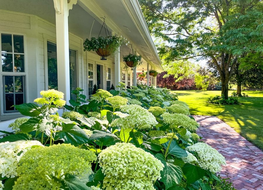 Hydrangeas And Porch
"Dream Team's" Portland Garden
Garden Design
Calimesa, CA