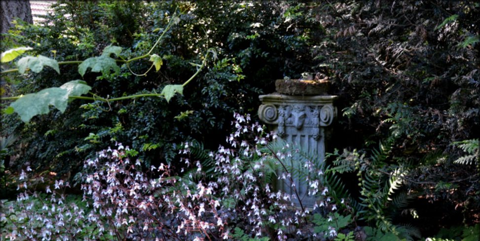 Seattle Garden of Various Styles | Garden Design