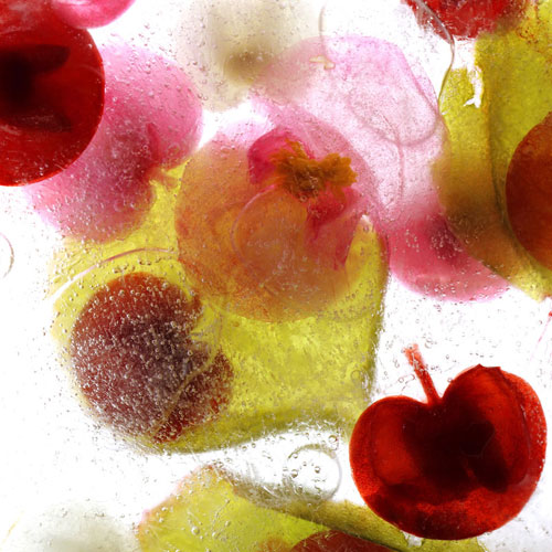 Frozen Flora