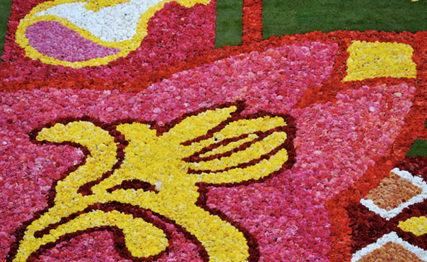 Begonias 2010