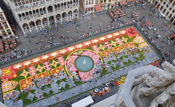 Begonias 2010