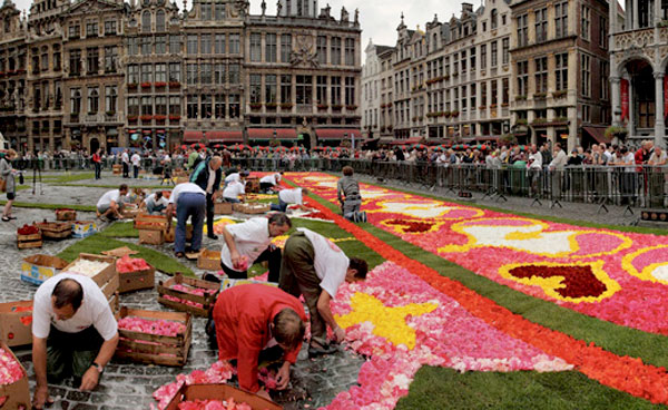Begonias 2010