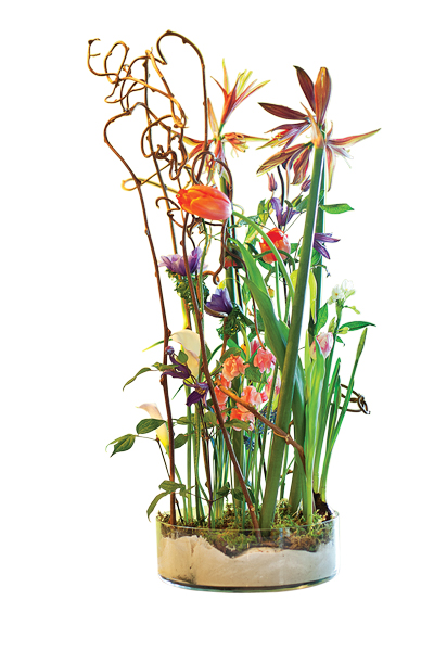 student Rob Plattel arrangement student Rob Plattel arrangement