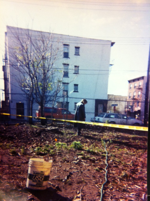 brooklyn red hook1