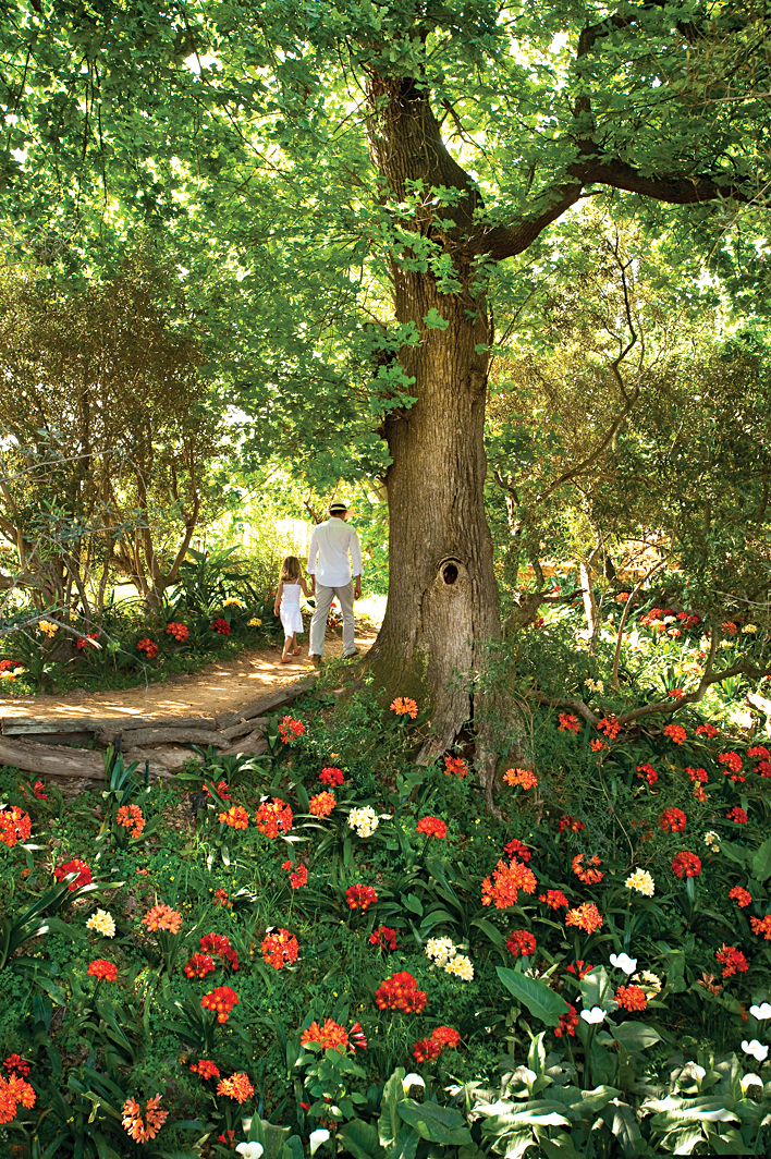 babylonstoren flowers trees