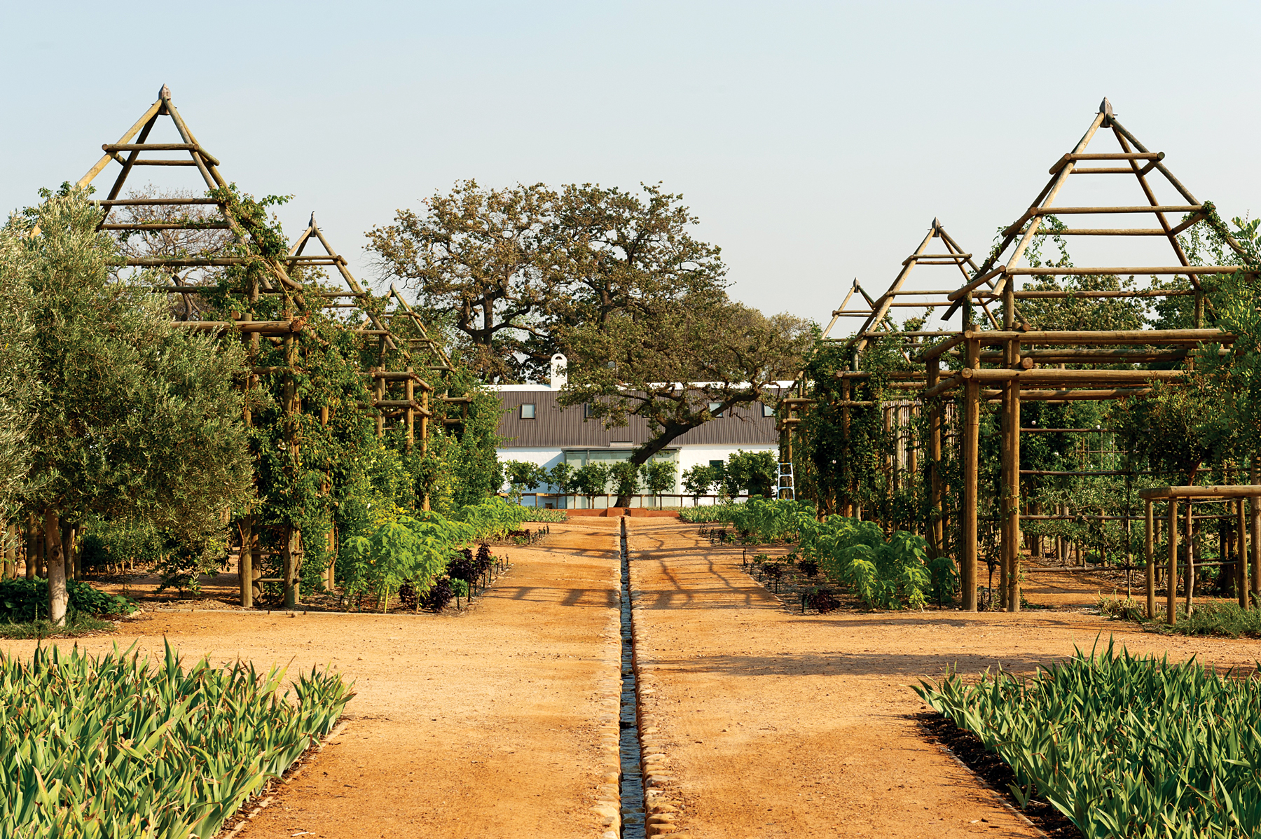 Babylonstoren garden