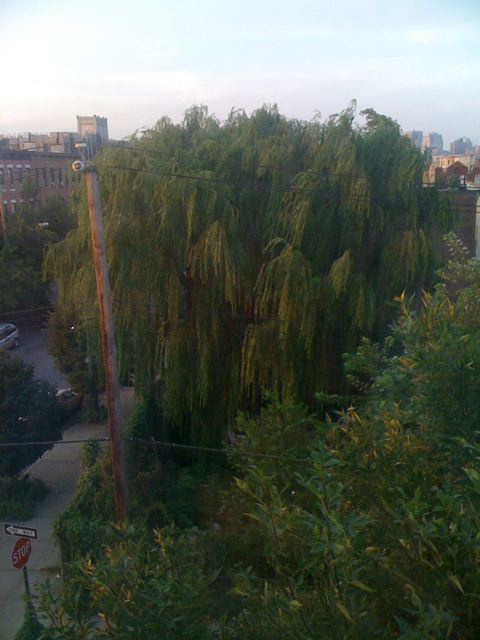 brooklyn 2