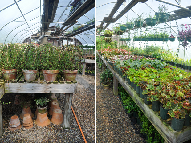 snug harbor greenhouses
