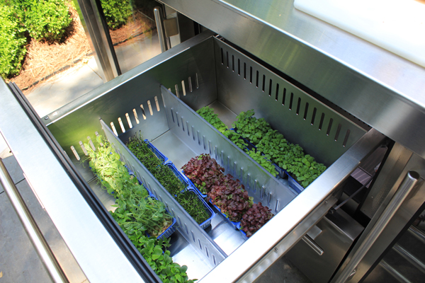 open refrigerator