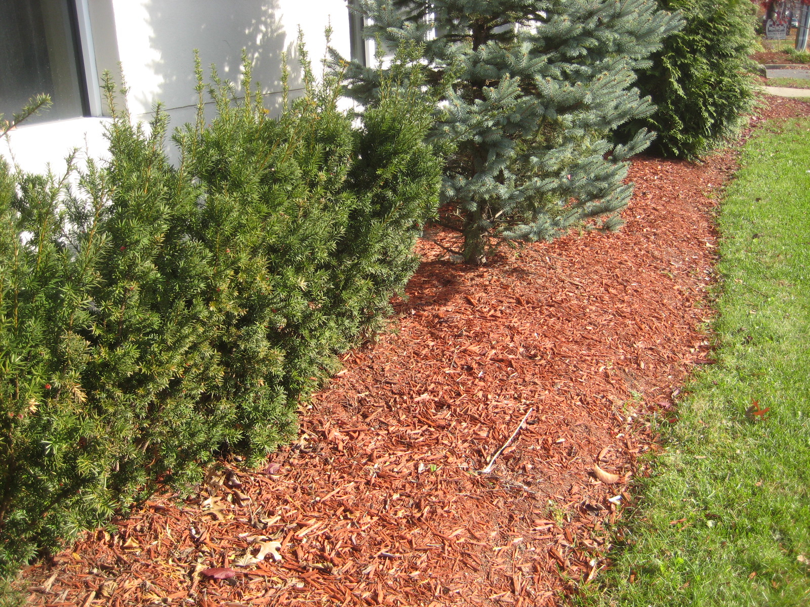 dyed mulch dyed mulch