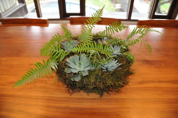 moss wreath succulents