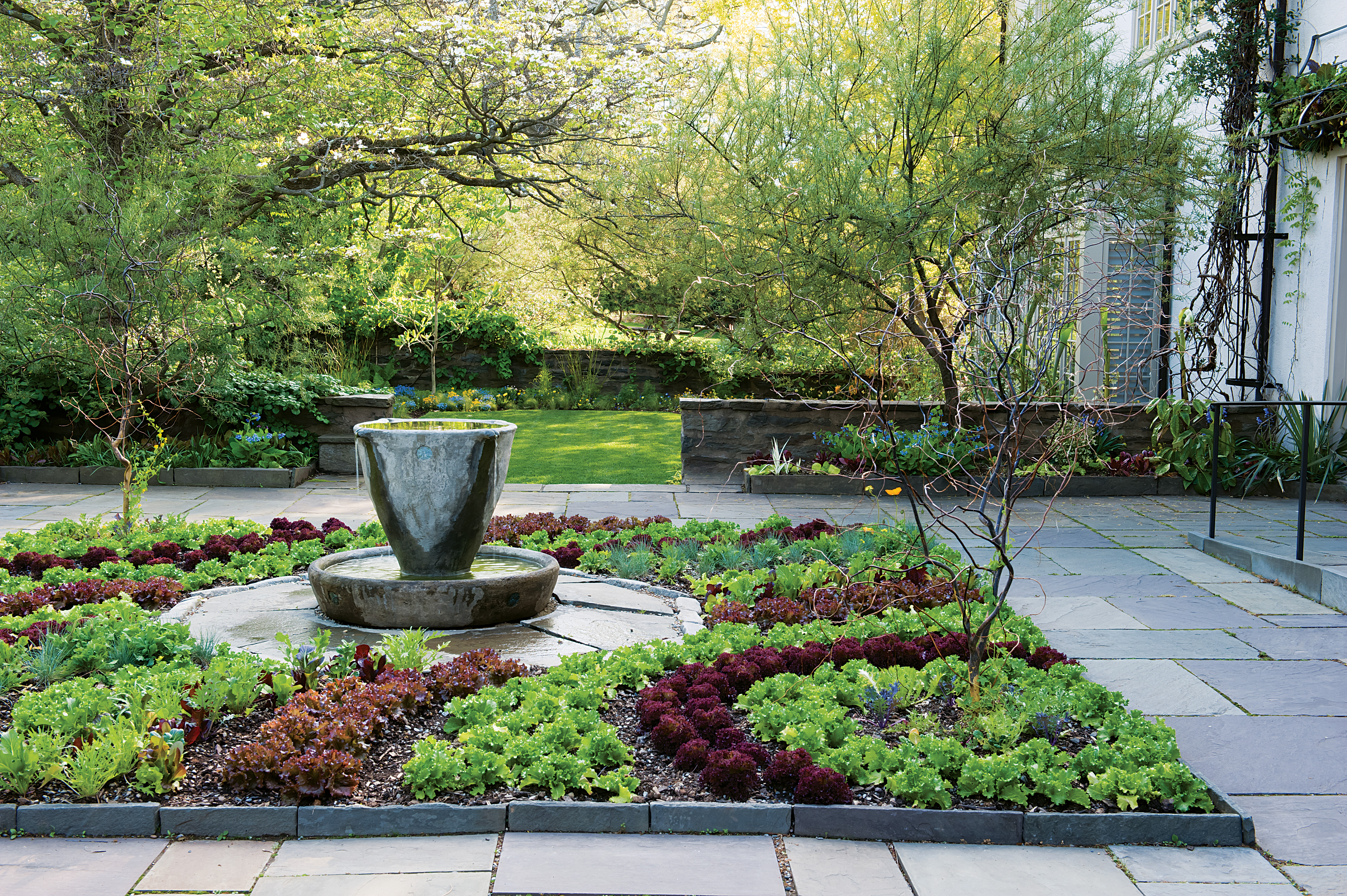 Lettuce Garden