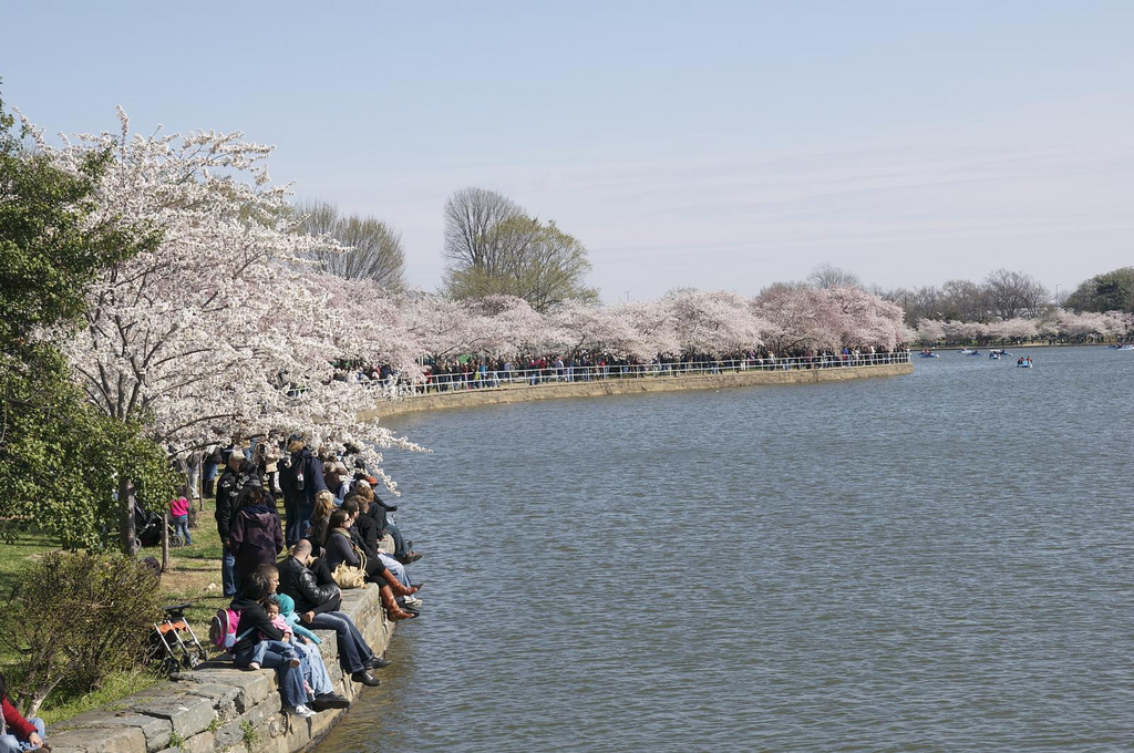 tidal basin tidal basin