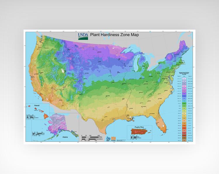 zone map