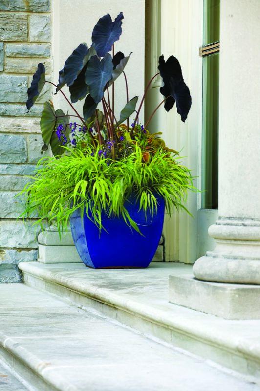 Garden Design Com Garden Design Com