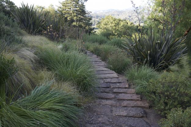 Healdsburg Potager