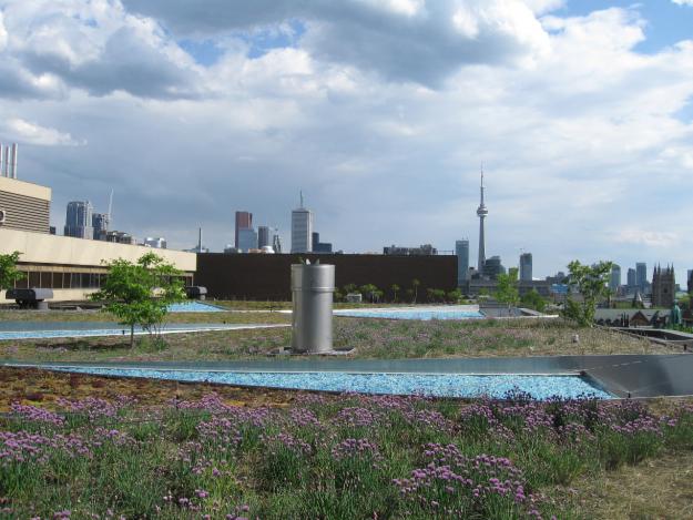 Liza's Garden at the ROM