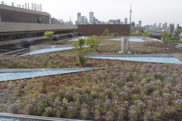 Liza's Garden at the ROM