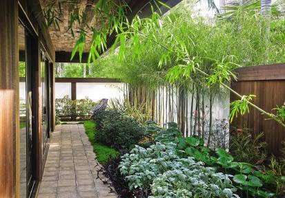 Interior Courtyard