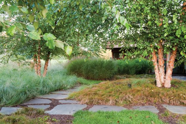 Trees frame the entrance of the Ross garden