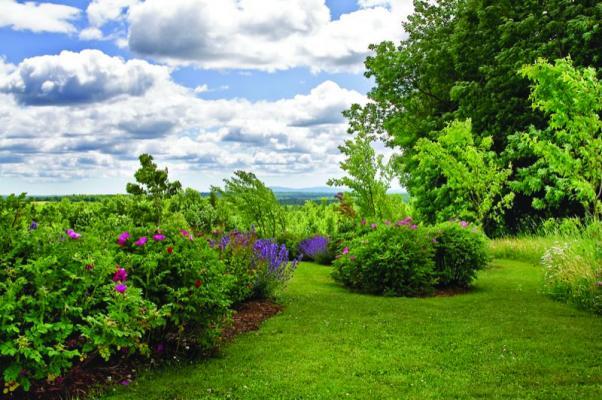 Matthew Cunningham Garden Design