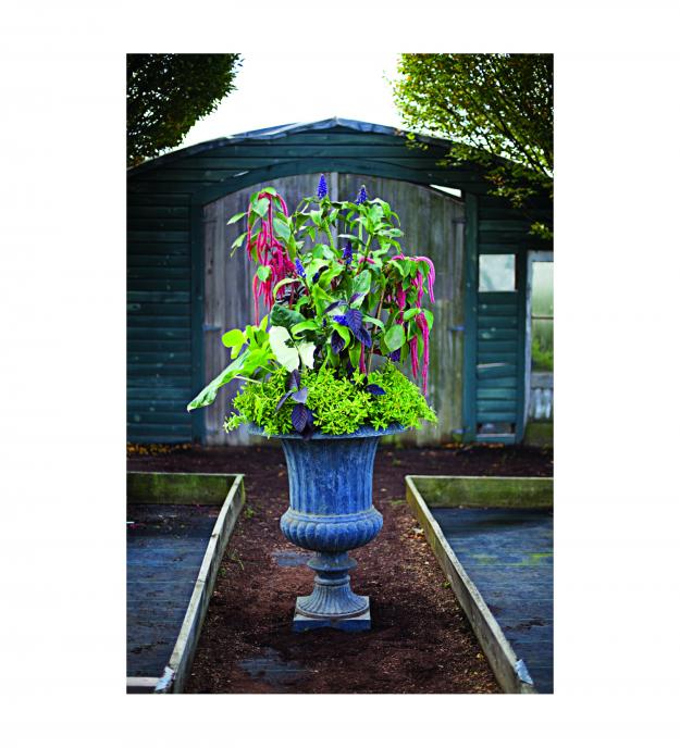 Ode on a Victorian Urn Garden Design