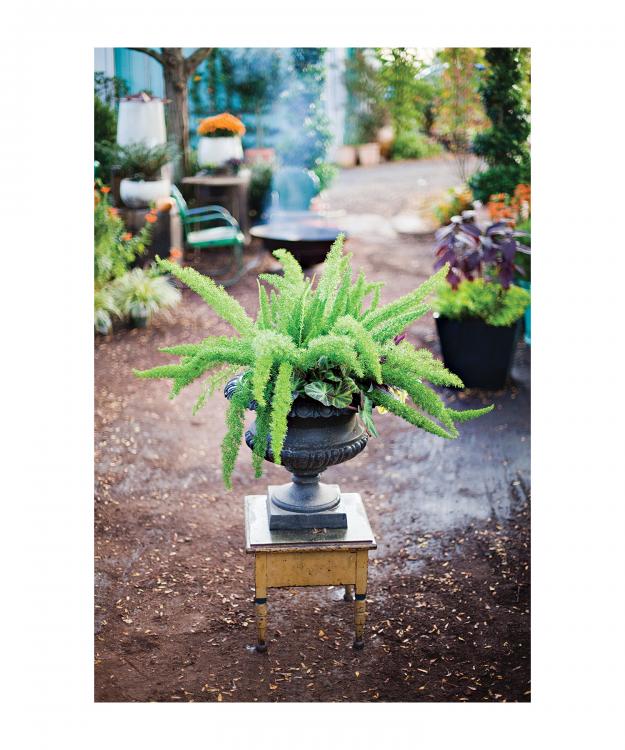 Garden Design - Ode on a Victorian Urn