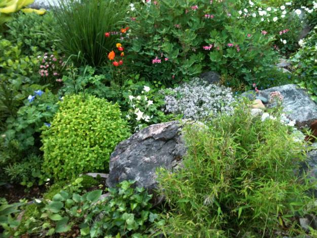 Rock garden in Sweden