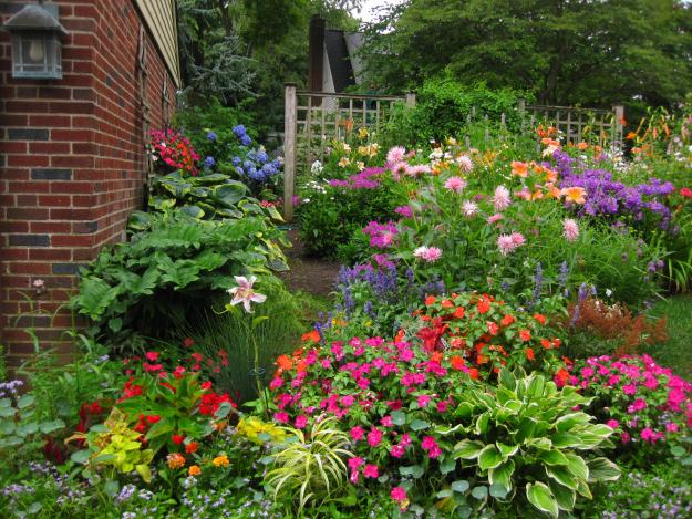 perennial garden
