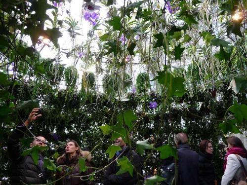 paris greenhouse