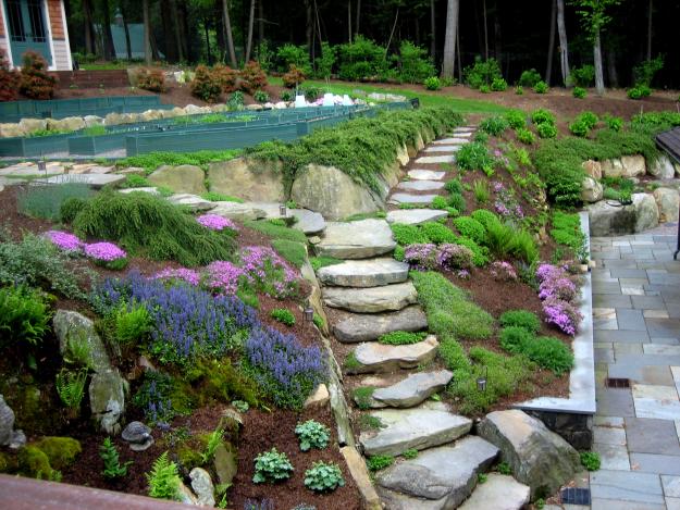 vegetable garden view 2