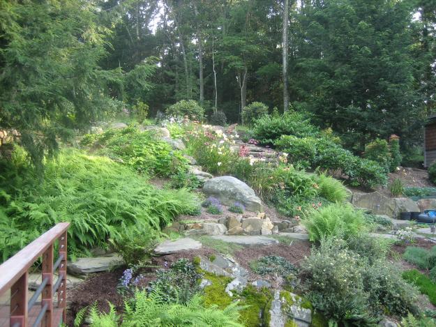 View of terraced garden