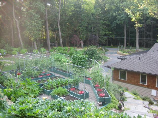 Hallberg vegetable garden
