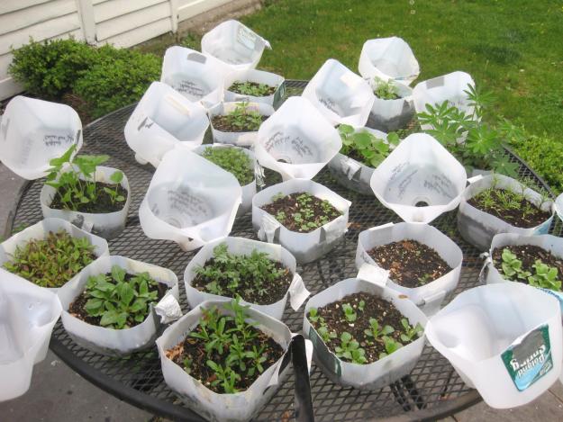 snow sowing planters