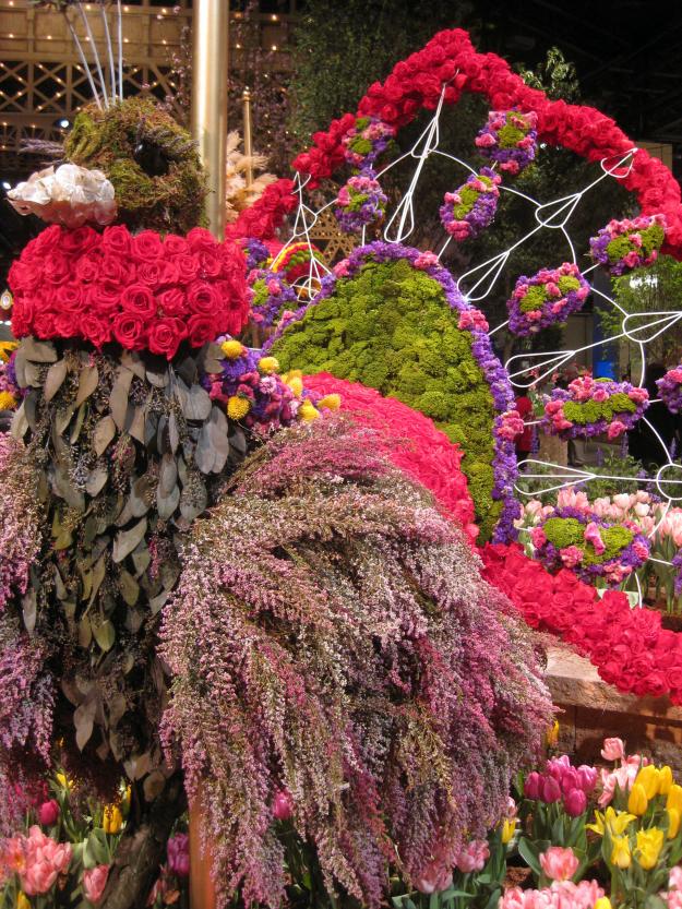 Peacock at 2011 Philadelphia Flower Show