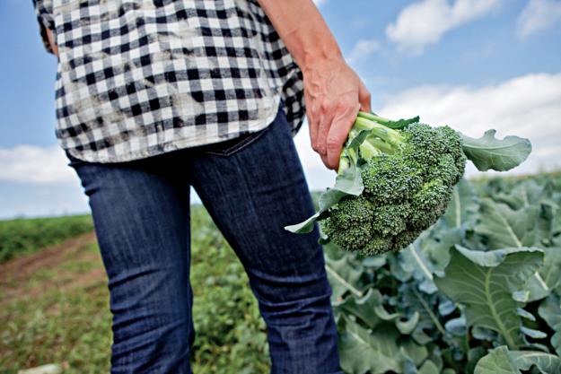 vegetables