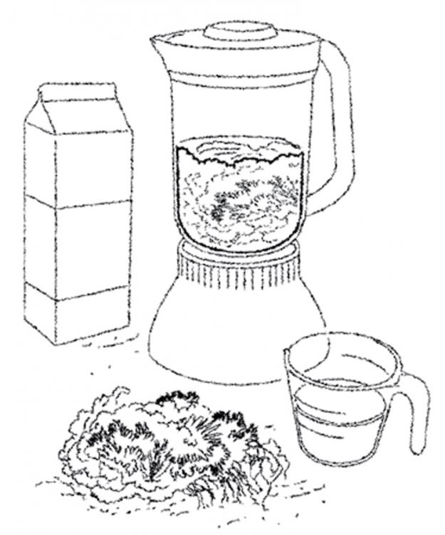 Moss milkshake 2